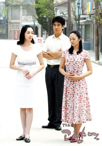 TV Novel: Hometown Station海报
